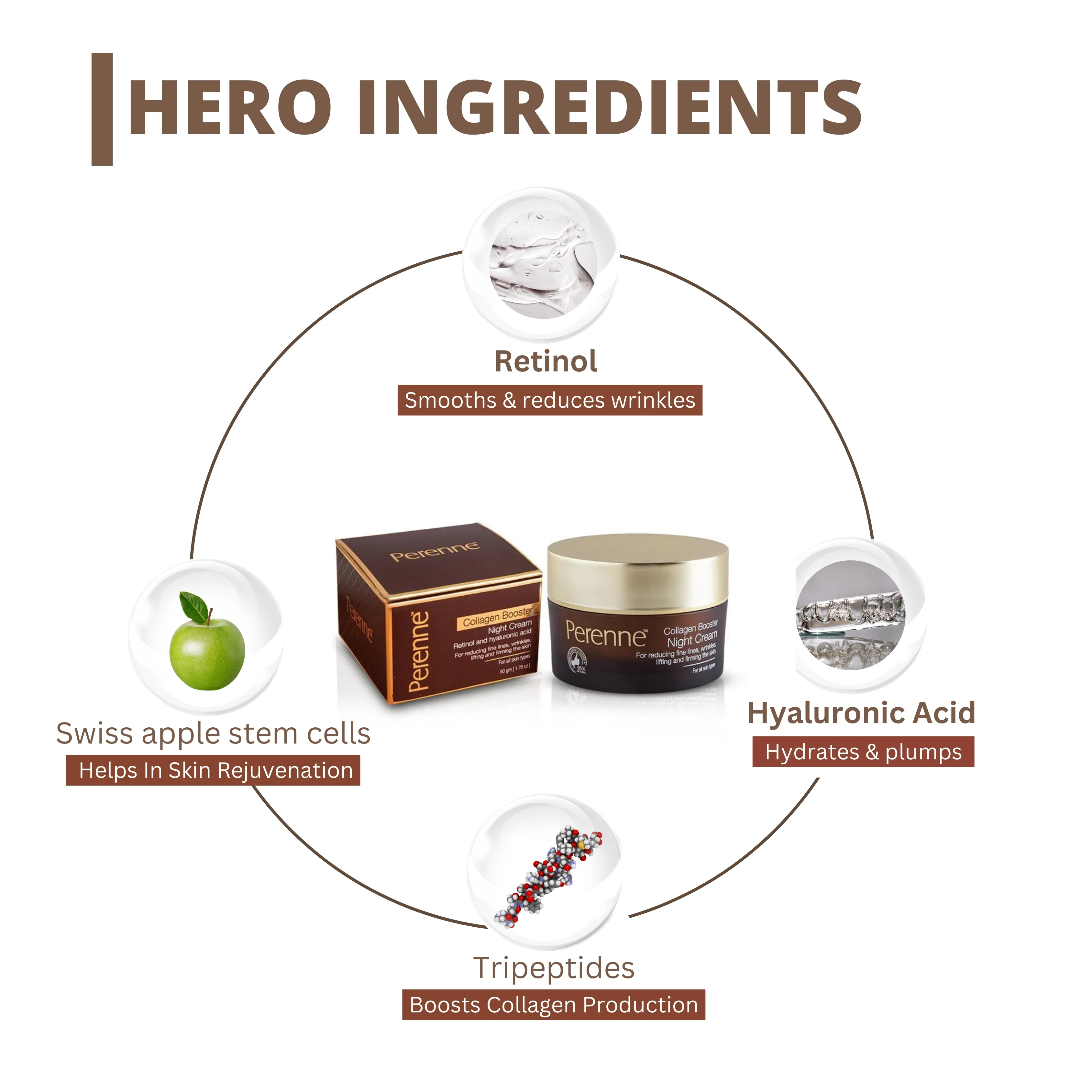 Perenne Collagen Booster Night Cream | Best Anti-Aging Night Cream for Men & Women | Retinol, Tripeptides, Hyaluronic Acid & Swiss Apple Stem Cells | Lifts, Firms, Reduces Wrinkles & Fine Lines | Deep Hydration & Skin Repair | Paraben Free (50g) - Image 4