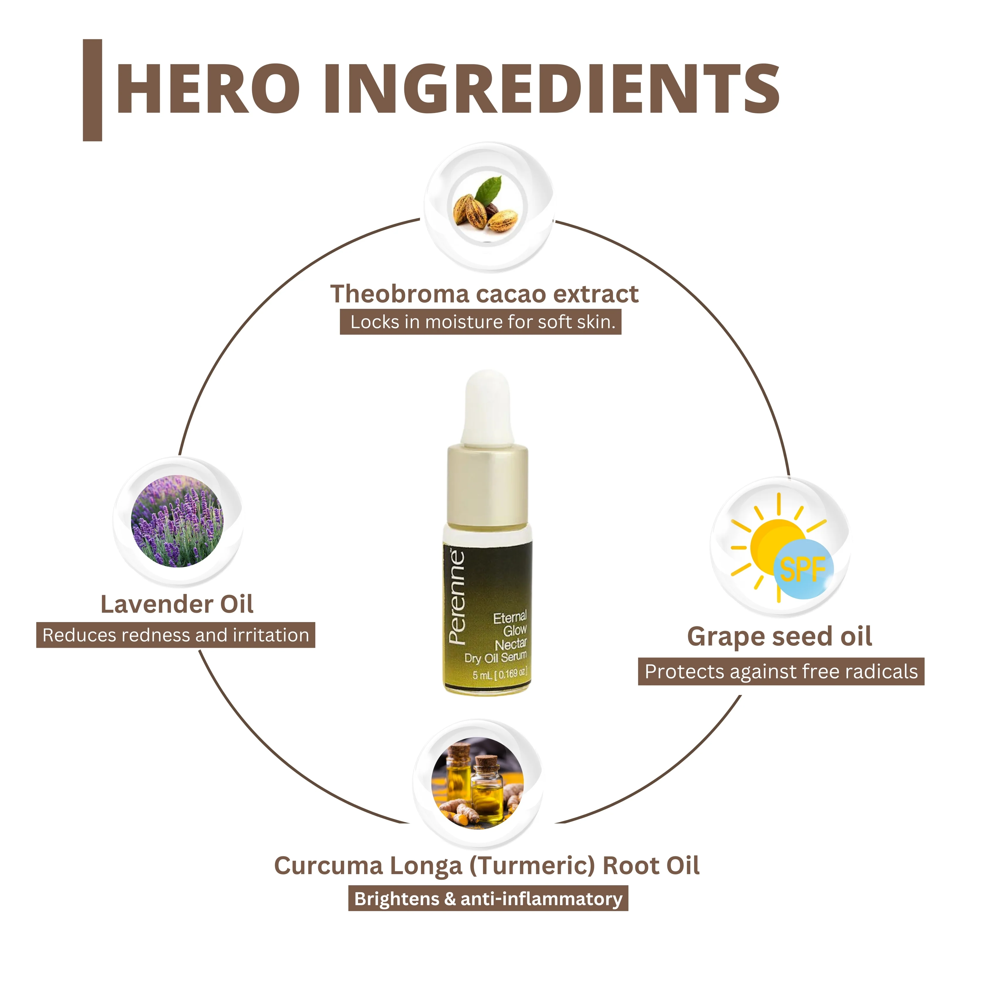 Perenne Eternal Glow Nectar Dry Oil Serum | Glowing & Brightening | Prevents Digital Aging | Non-Greasy & Lightweight (5ml & 30ml) - Image 3