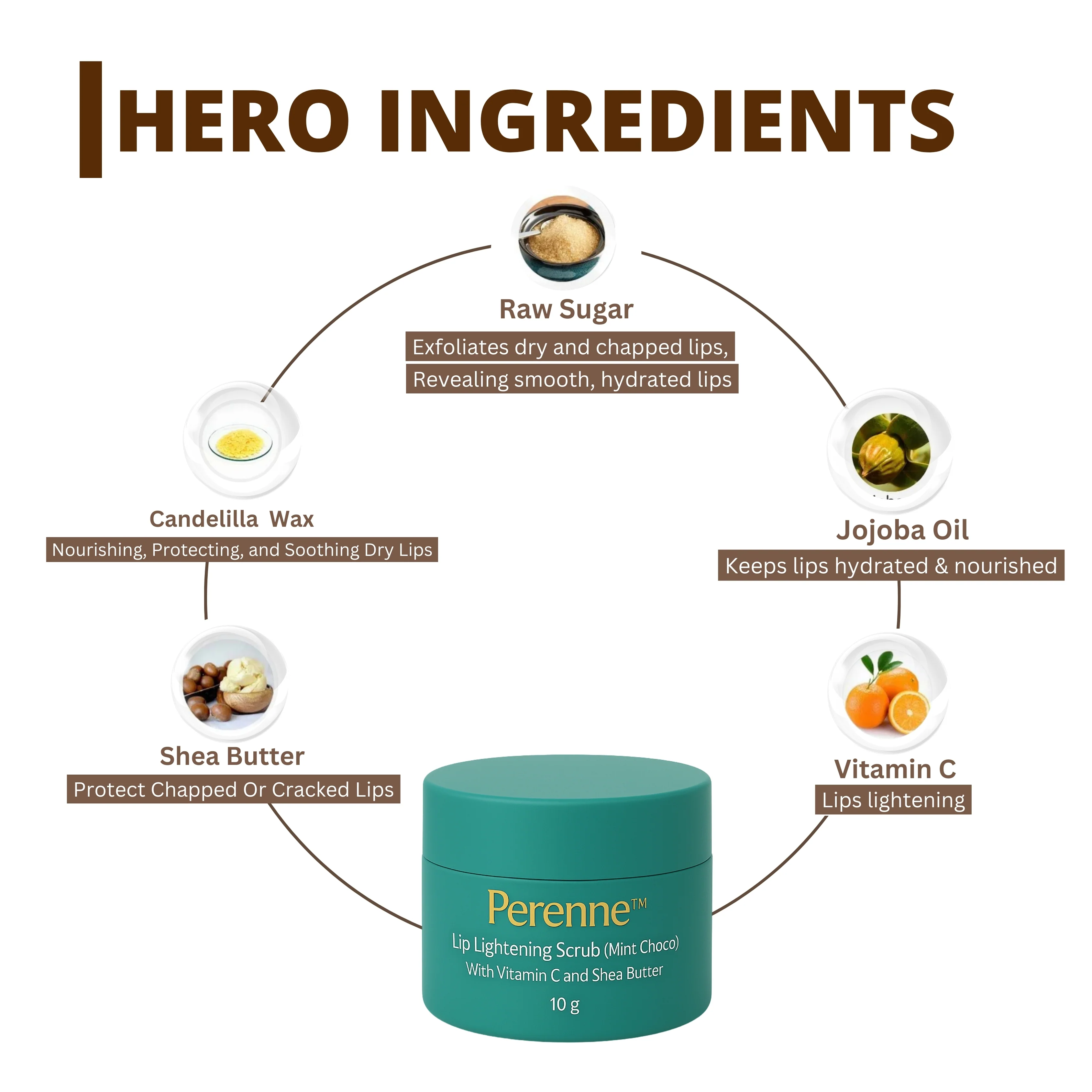Perenne Lip Lightening Scrub (Mint Choco) | Exfoliates & Rejuvenates | Removes Pigmentation & Dead Skin | Vitamin C & Shea Butter | Hydrating & Plumping (10gm) - Image 3