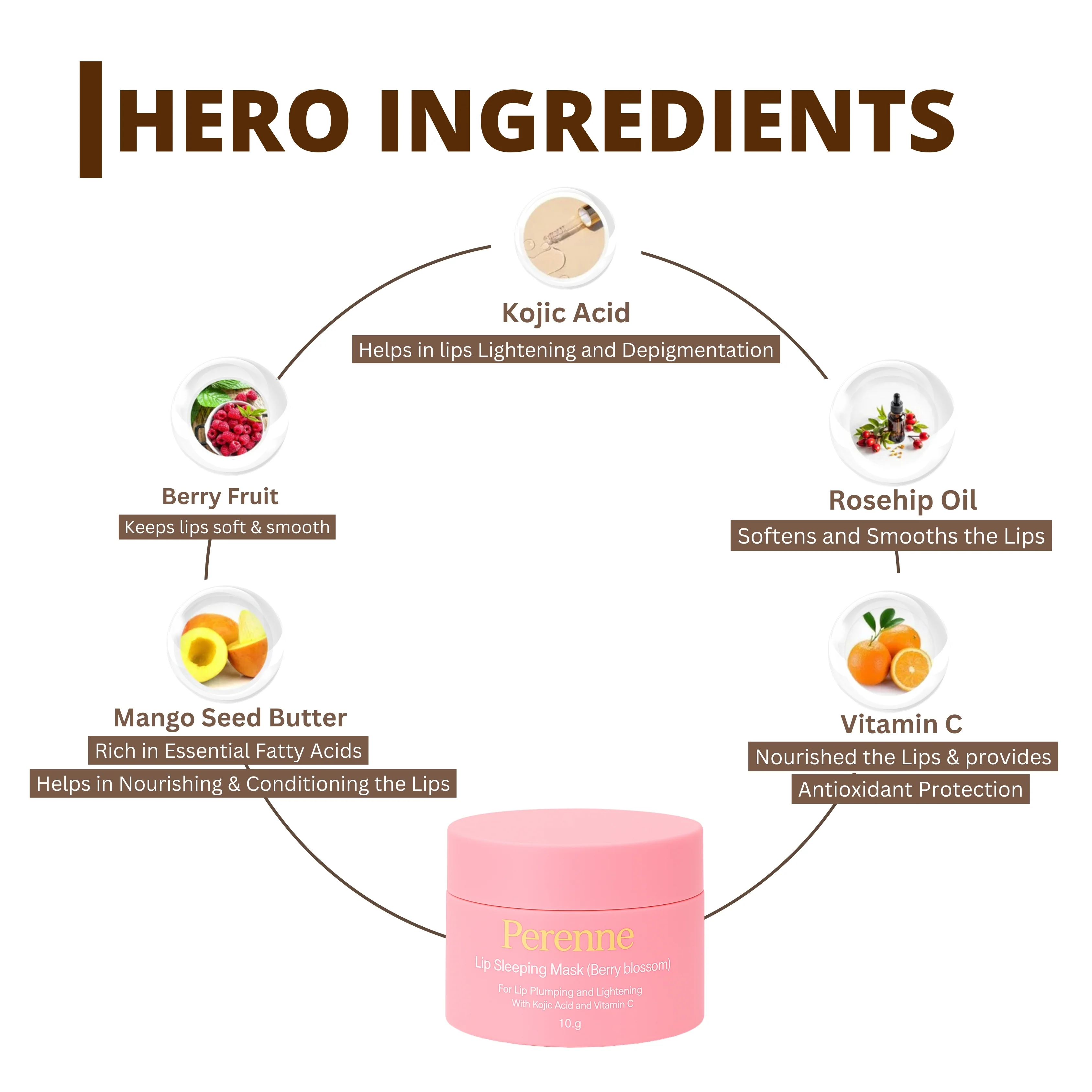 Perenne Lip Sleeping Mask (Berry Blossom) | For Dry, Chapped Lips | Plumps & Brightens Dark Lips | Overnight Hydration & Repair | Kojic Acid & Vitamin C | (10 gm) - Image 3