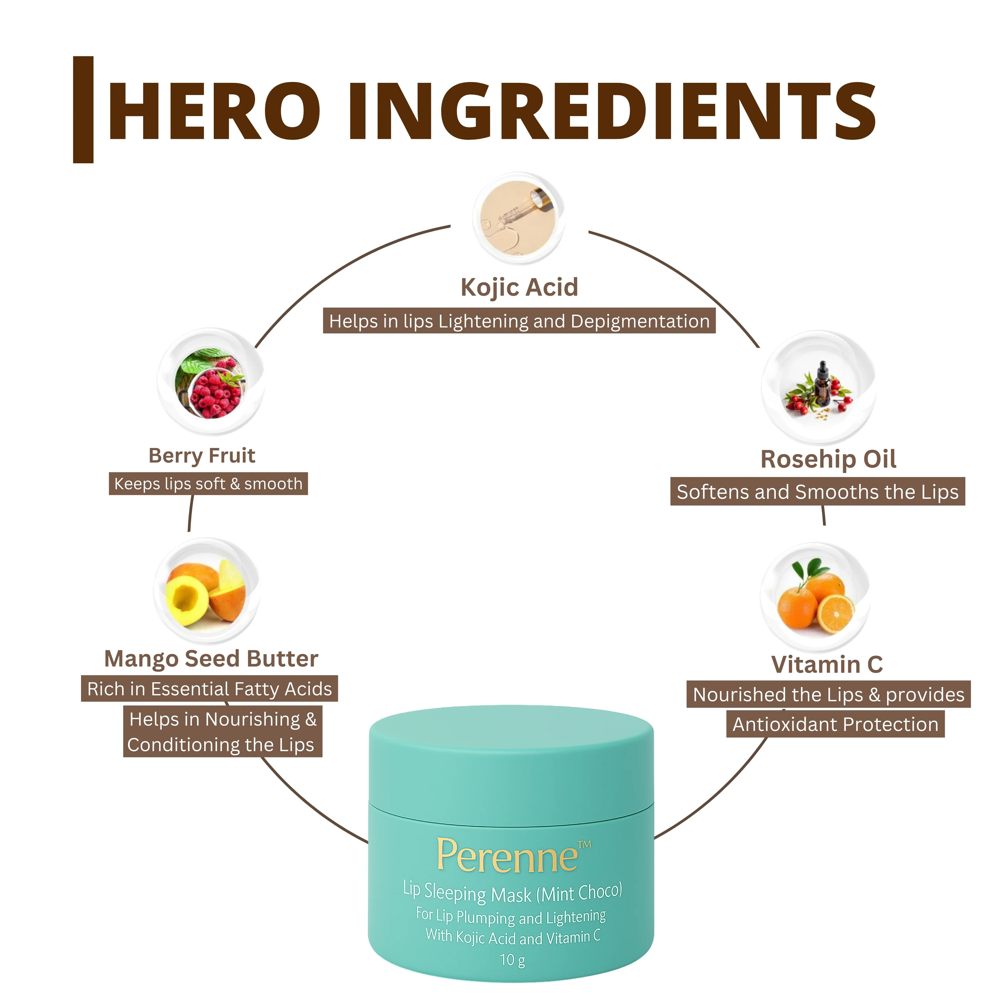 Perenne Lip Sleeping Mask (Mint Choco) | For Dry & Chapped Lips | Lip Plumping & Depigmentation | Hydrating & Nourishing | Kojic Acid & Vitamin C (10 gm) - Image 3