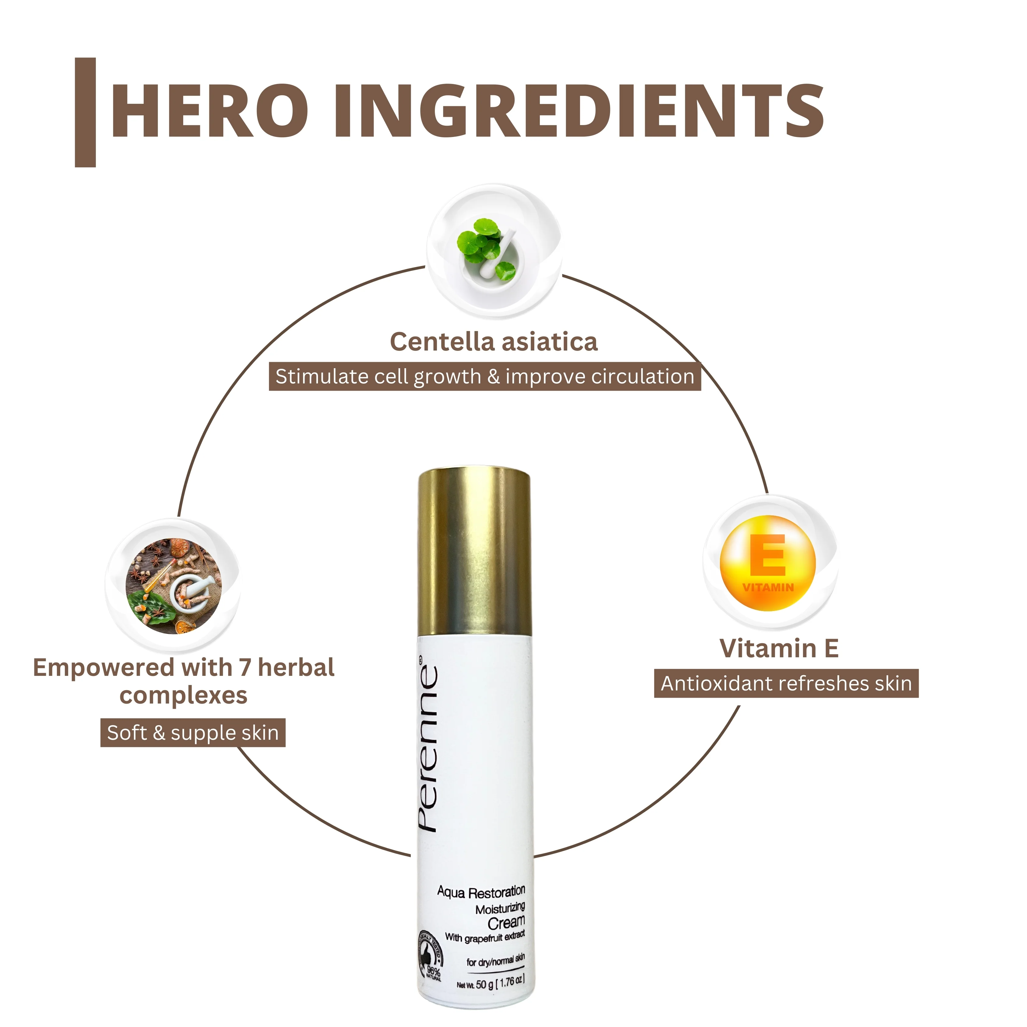 Perenne Aqua Restoration Moisturizing Cream | Hydrates & Nourishes | Lightweight & Non-Greasy | Glycerin & Grapefruit Water | Dermatologically Tested | For All Skin Types (50ml) - Image 3