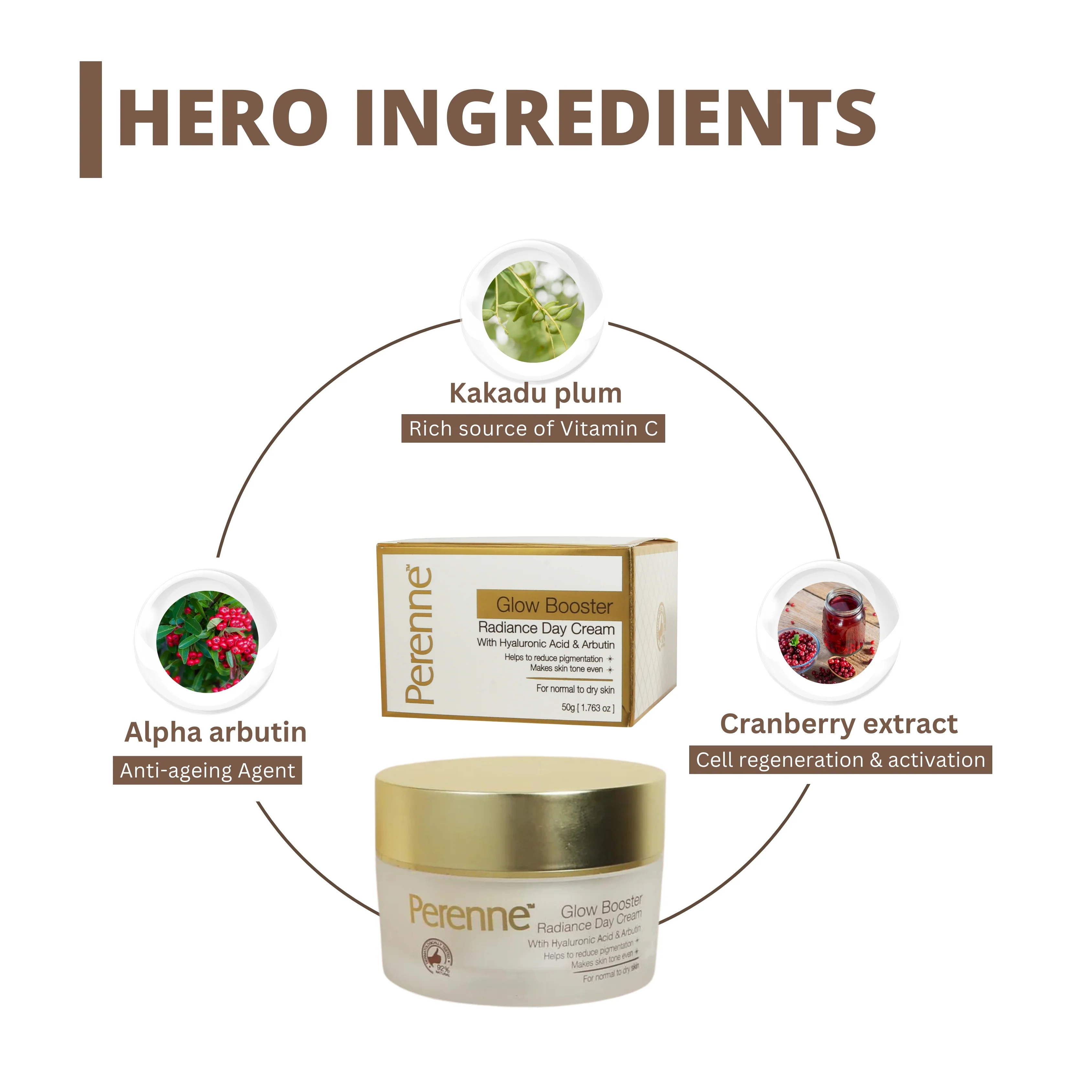 Perenne Glow Booster Radiance Day Cream | Natural Vitamin C, Green Tea & Licorice | Skin Lightening, Brightening & Depigmentation | Glowing Skin | Hydrating & Lightweight | For All Skin Types | Paraben-Free | Men & Women (50g) - Image 3